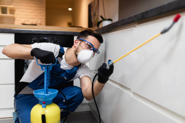 Best Pest Prevention Services  in Los Fresnos, TX