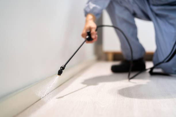 Best Residential Pest Control  in Los Fresnos, TX