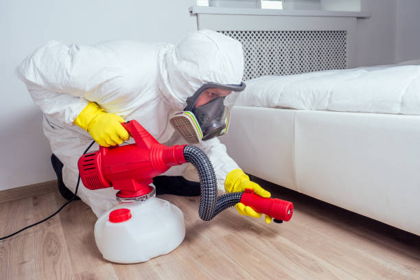 Best Bed Bug Extermination  in Los Fresnos, TX