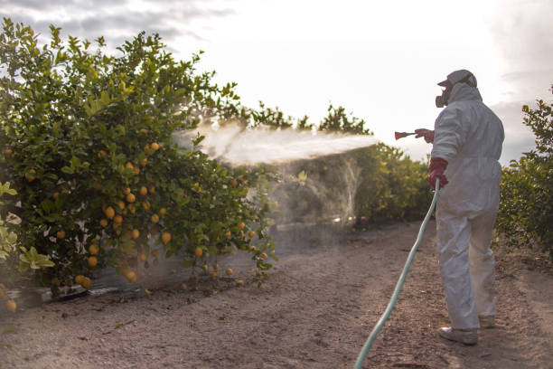 Best Mosquito Control Services  in Los Fresnos, TX