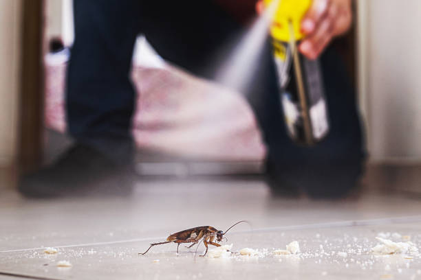  Los Fresnos, TX Pest Control Pros