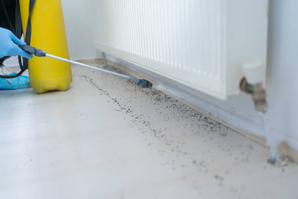 Best Pest Removal Services  in Los Fresnos, TX