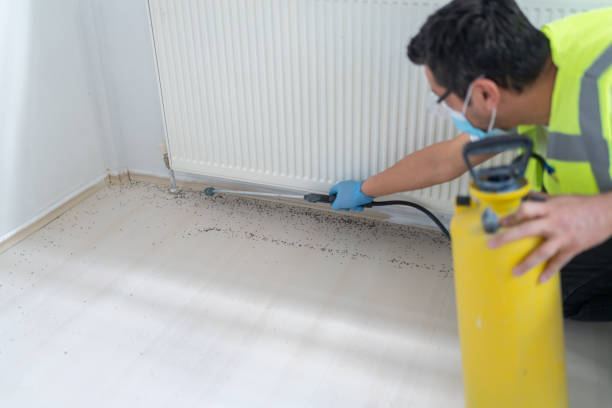 Best Pest Inspection Near Me  in Los Fresnos, TX