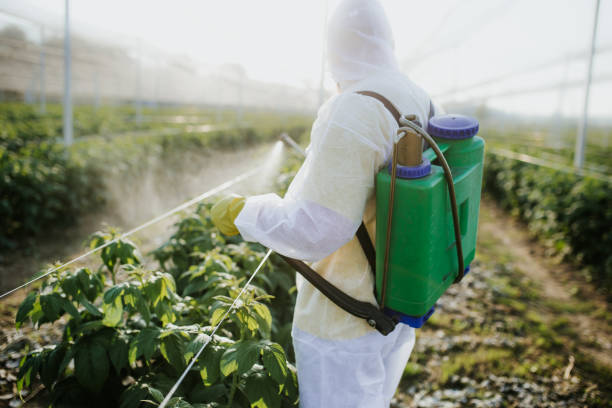 Best Pest Removal Services  in Los Fresnos, TX
